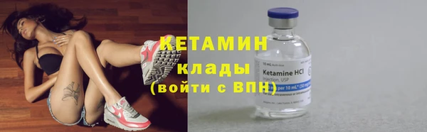 крисы Армянск