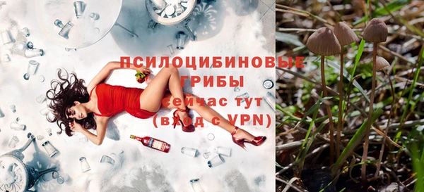 крисы Армянск