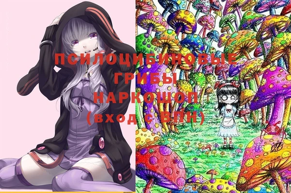 стафф Арсеньев