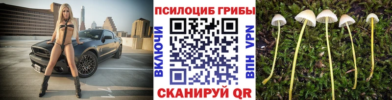 Галлюциногенные грибы Psilocybine cubensis  сайты даркнета какой сайт  Давлеканово 